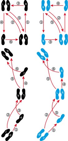 Вальс движения ног схема