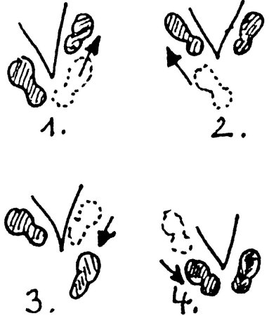 Шаги буквой v или v-Step