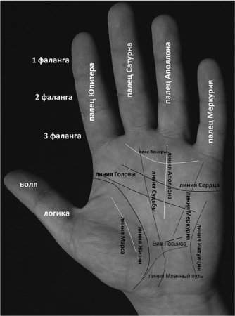 Бесплатный хиромантический анализ по фото рук. Компьютерная программа для хиромантов