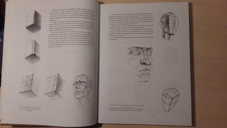 Николай ли голова человека иллюстрации