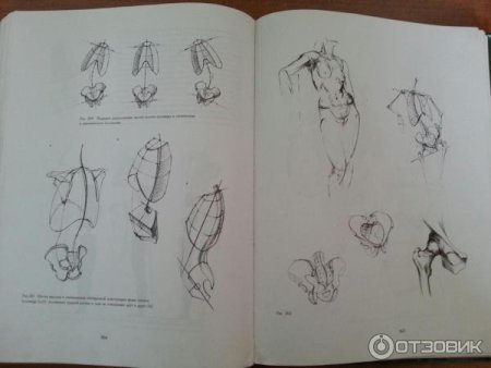 Рисунок. Основы учебного академического рисунка Николай ли книга