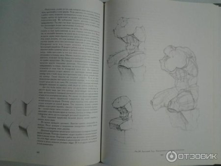 Ли н.г. основы учебного академического рисунка. М., «Эксмо», 2003