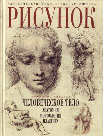 Основы учебного академического рисунка