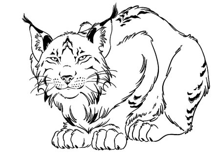 Аппликация шаблон