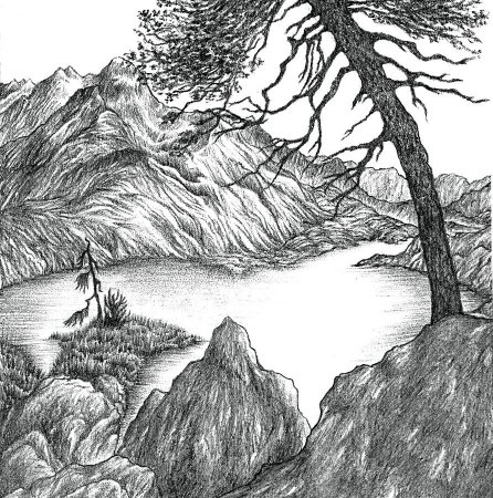 Трафареты для выжигания по дереву природа