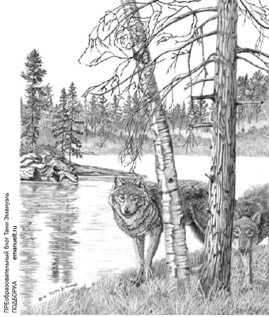 Выжигание на дереве