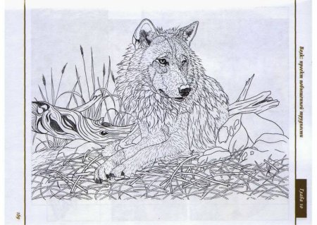 Арарат пирография