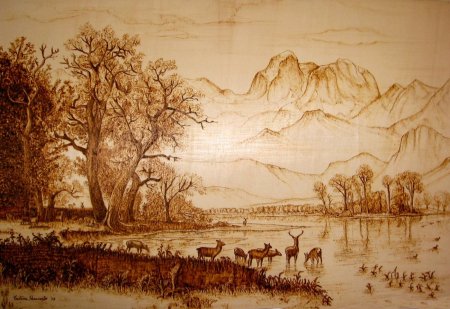 Выжигание по дереву горы