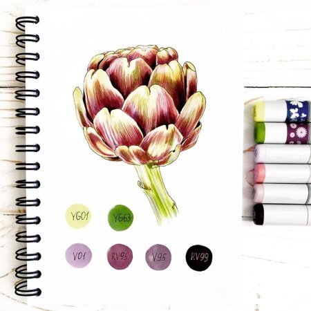 Артишок скетчинг