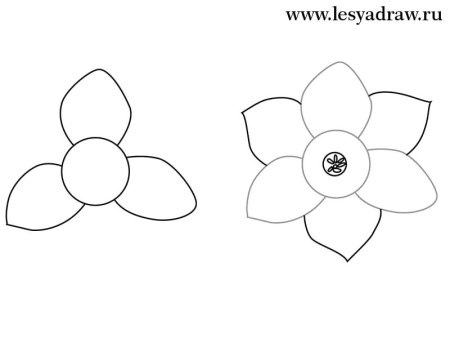 Поэтапное рисование ромашки