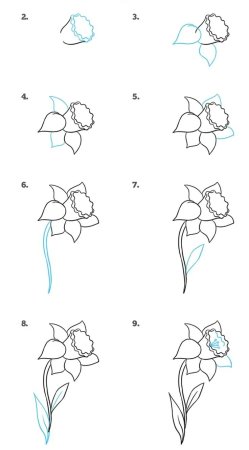 Схемы рисования цветов
