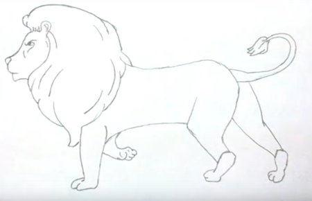 Лев рисунок поэтапно