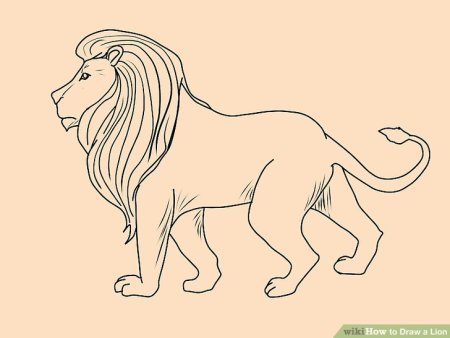 Лев для рисования