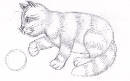Кошка рисунок карандашом
