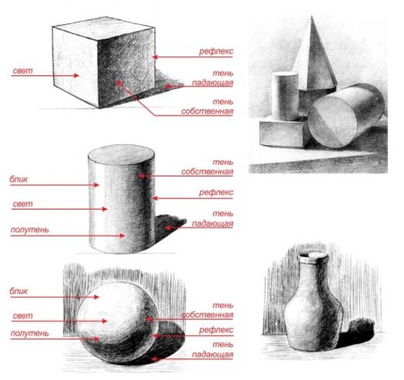 Правила светотени в рисунке