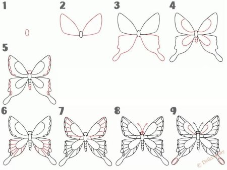 Поэтапное рисование бабочки