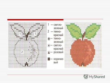Вышивка крестом яблоко схема для начинающих
