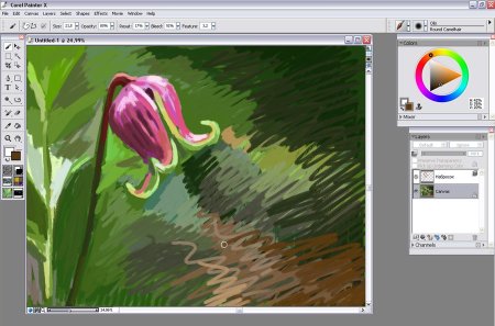 Corel Painter рисунки