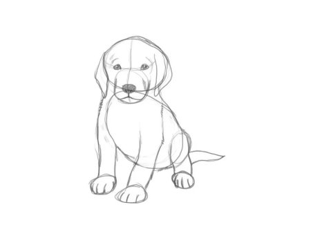 Поэтано рисование собаки