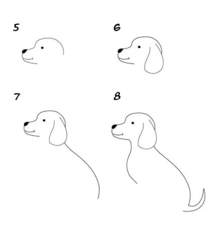 Рисунок таксы пошагово