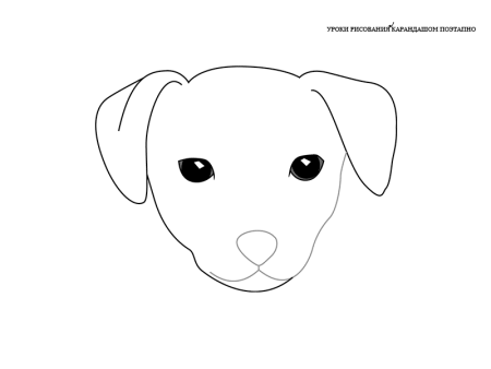 Поэтапное рисование собаки для дошкольников