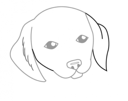 Рисунок кокер спаниеля пошагово