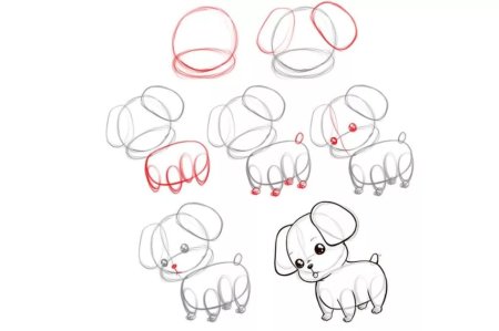 Рисование собака старшая группа