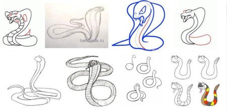 Поэтапный рисунок змеи