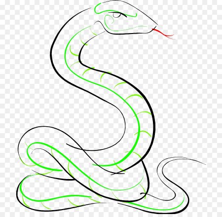 Как нарисовать змею