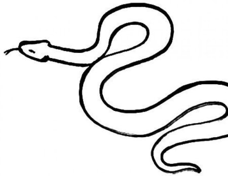 Уж раскраска для детей
