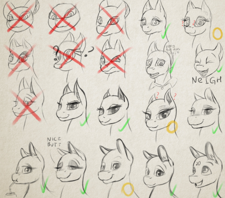 Анатомия головы пони