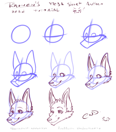 Фурри волк анатомия головы