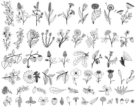 Трава эскиз