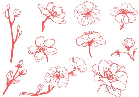 Цветы референсы для рисования