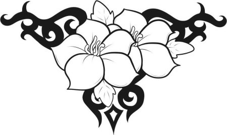 Рисунки цветов для срисовки