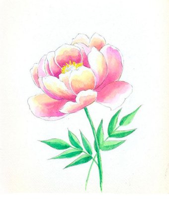 Схемы рисования цветов