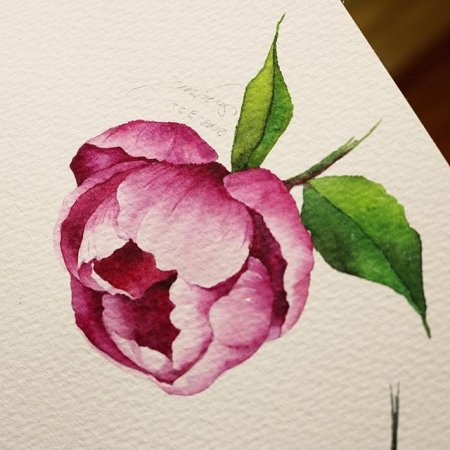 Туториал рисования цветов