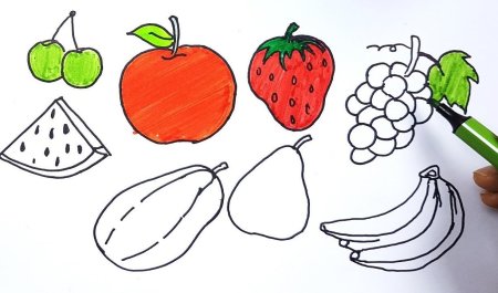Рисование овощей и фруктов