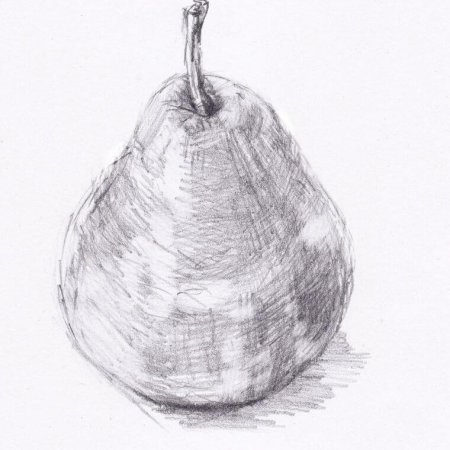 Фрукты карандашом