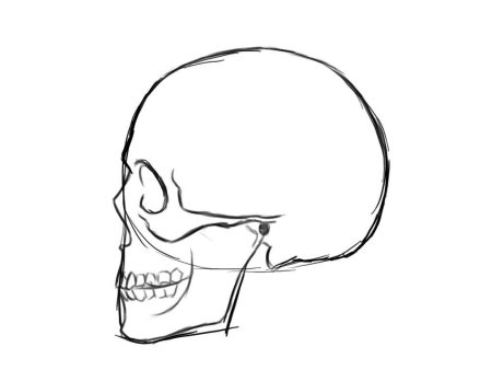Рисование пошагово череп