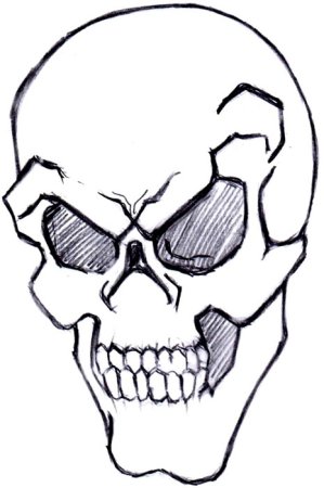 Рисунки карандашом лёгкие черепа