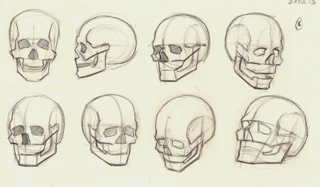 Как нарисовать череп карандашом поэтапно