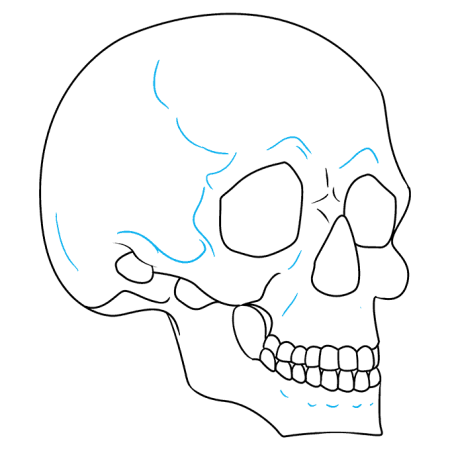 Рисунки карандашом прикольные черепа