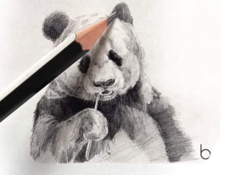 Рисунки графитным карандашом