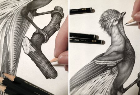 Рисунки грифельным карандашом