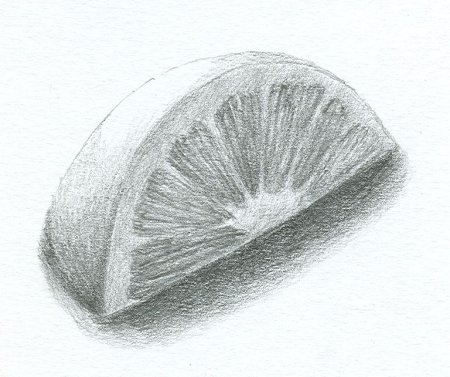 Карандашный штрих фрукты