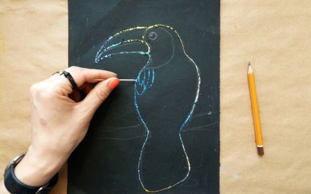 Граттаж Тукан