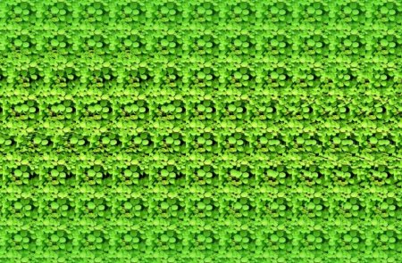 Кристофер Тайлер стереокартинки