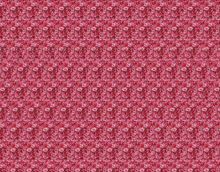 Gene Levine Stereogram