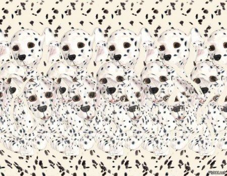 Стереограммы для зрения для новичков